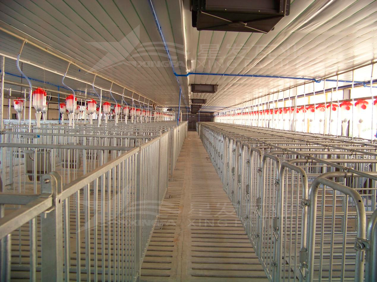 高溫來襲，養(yǎng)殖場安裝樹脂瓦，為小動物營造避暑勝地