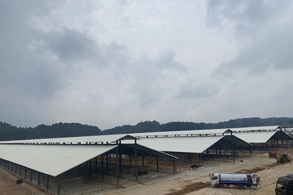 延長PVC瓦使用壽命的三大關(guān)鍵因素，千萬別忽視！